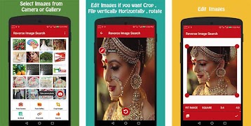 Reverse Image Search screenshot 1