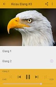 Kicau Burung Elang Pikat स्क्रीनशॉट 4