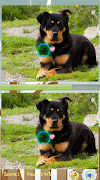 Tìm sự khác biệt Dog Games bài đăng