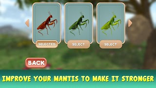 Mantis Insect Life Simulator 스크린샷 3