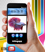 Betta fish 3D スクリーンショット 2