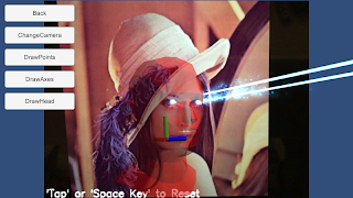 FaceTracker Example captura de pantalla 2