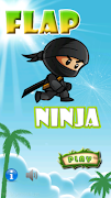 Flap Ninja poster
