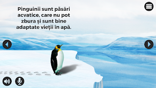 Pinguini-poster