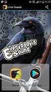Crow Sounds poster