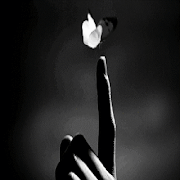 Batterfly پوسٹر