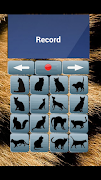 Cat Translator ภาพหน้าจอ 1