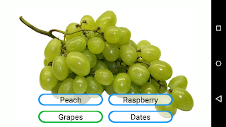 Fruits and Vegetables スクリーンショット 4