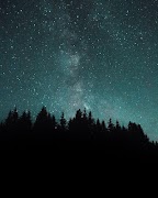 Unsplash gönderen