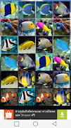 Fish Matching ภาพหน้าจอ 4