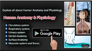 Anatomy Learning Human offline gönderen