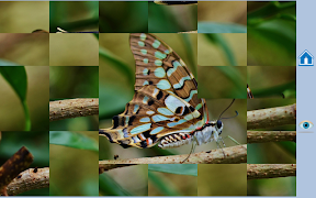 101 Puzzles স্ক্রিনশট 4