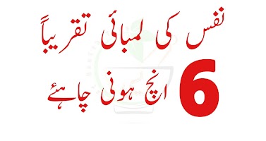 Lun Pora 9 inch Lamba karo bài đăng