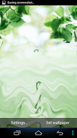 Leaves And Water Drops LW screenshot 2