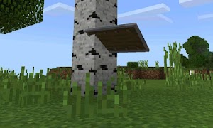 برنامه‌نما MOD Shield Addon عکس از صفحه