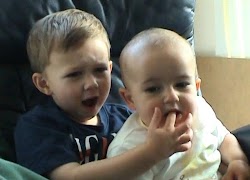 😍😀😆😄 Viral videos FREE😍😀😆😄 Affiche