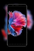 Fish Wallpapers Ekran Görüntüsü 5