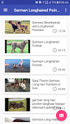 German Longhaired pointers 截图 1