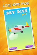 SkyDive Pro Affiche