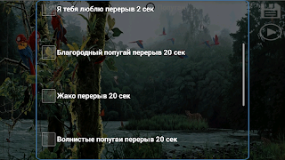 Разговорник для попугаев screenshot 7