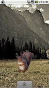 Squirrel Sitting Sticker স্ক্রিনশট 2