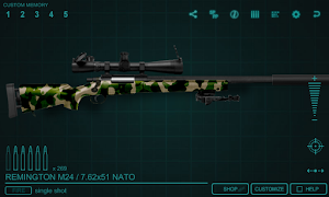 SimGun2 Custom Plakat