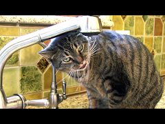 Video Touch Lite screenshot 6