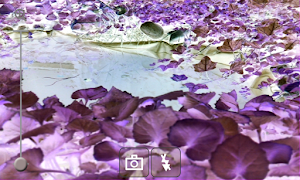 Inverted Camera Effect 포스터