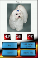 Dog Breed Picture Quiz screenshot 1