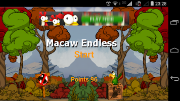 Macaw Endless poster