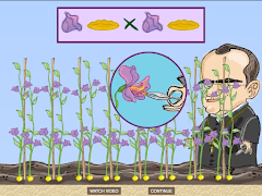 Science Experiments screenshot 3