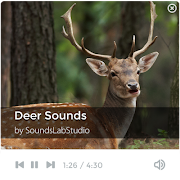Deer Sounds الملصق