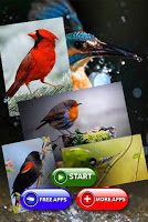 American Bird Sounds Poster