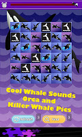Killer Whale Games poster