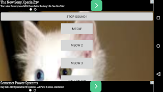 Cat Sounds スクリーンショット 1