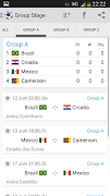 Brazil Cup 2014 截图 5