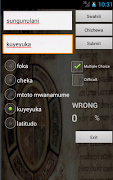 Swahili Chichewa Dictionary screenshot 6