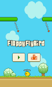 Floppy Fly Bird poster