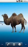 Camel Sticker 스크린샷 2