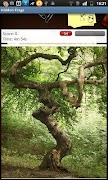 Hidden Frogs Ekran Görüntüsü 1