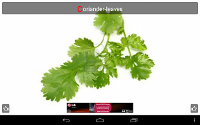 Kidzee Vegetables screenshot 2