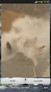 7 Schermata Instant Video