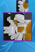 Custom Sliding Puzzle 스크린샷 2