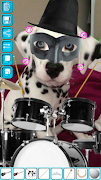 Funny Hat Stickers screenshot 3