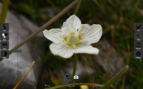 CameraX Free captura de pantalla 4