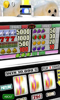 3D Baby Seal Slots - Free imagem de tela 1
