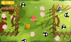 برنامه‌نما Tidy Up عکس از صفحه