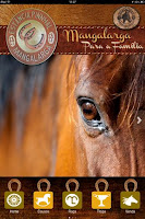 Cavalo Mangalarga постер