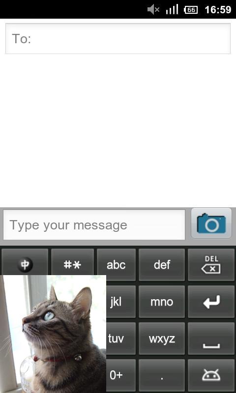 Descargar APK de Camara Secreta
