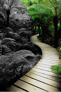 Photo Magic screenshot 6